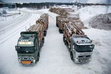 Volvo helpt mee aan efficiënter houttransport featured image