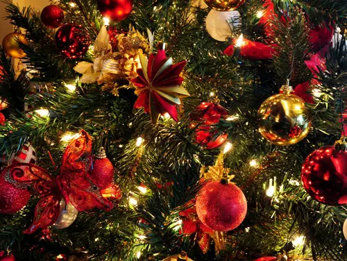 VIDEO – Prettige Kerstdagen! featured image