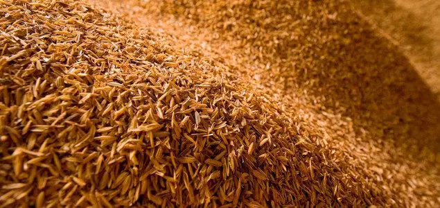 Afval rijstoogst in Goodyear loopvlakken featured image