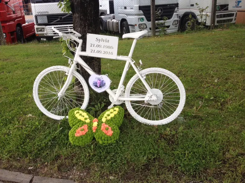 Dometic introduceert dodehoekcamera featured image