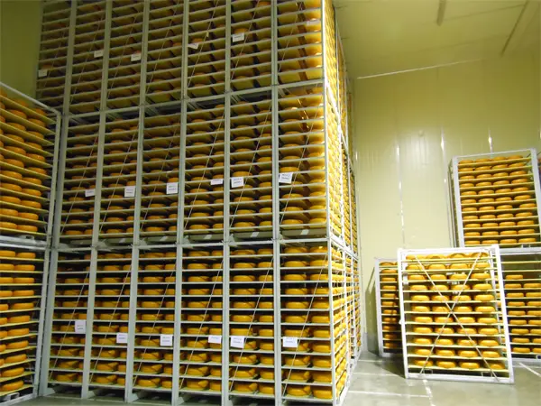 De Poel Koel- & Vrieshuis kiest voor Boltrics’ WMS featured image