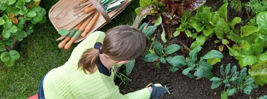 Evergreen aan de slag met MessageBroker van BluJay featured image