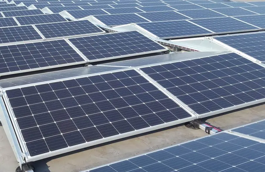 Koopman hoopt op veel zon featured image