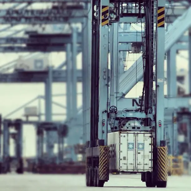 Snellere afwikkeling AGF-reefers in Rotterdamse haven featured image