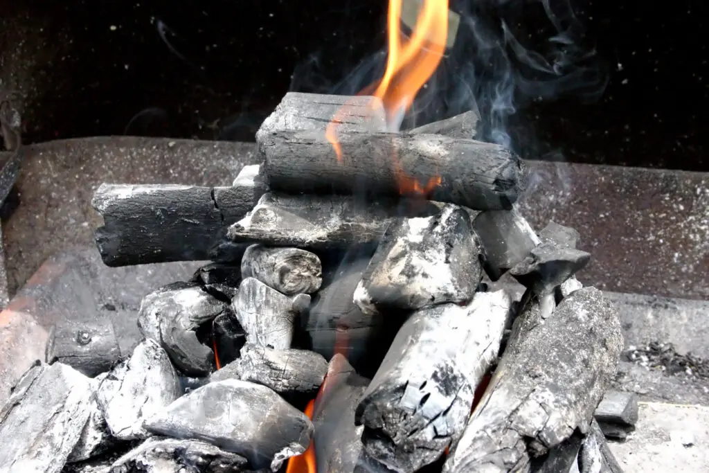 ‘Luchtkwaliteit verbeteren? Houtstook verminderen meest effectief’ featured image