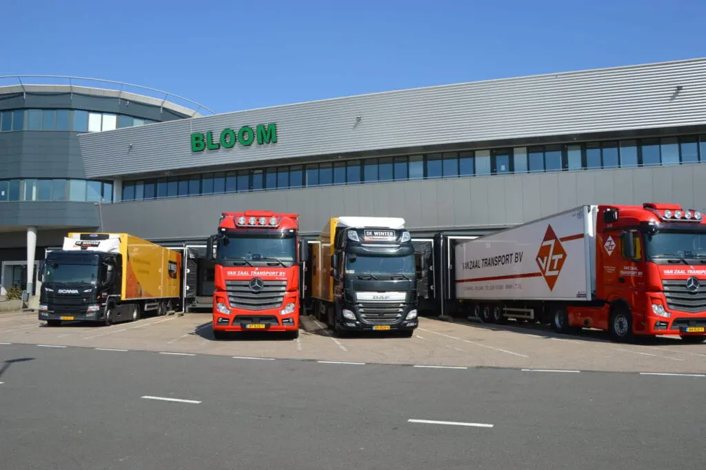 Overname sierteeltvervoerders door FloraHolland nog niet rond featured image