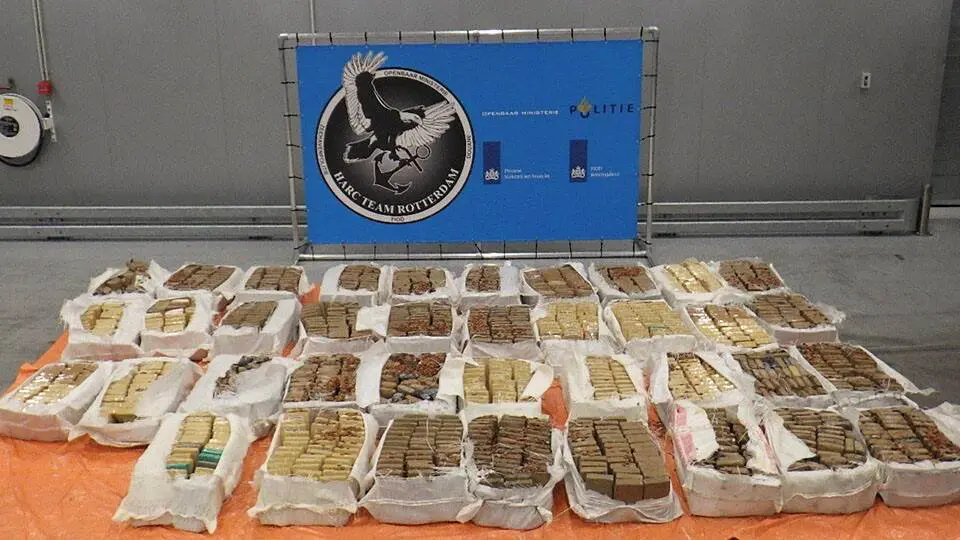 Douane onderschept 1686 kilo cocaïne in Rotterdamse haven featured image