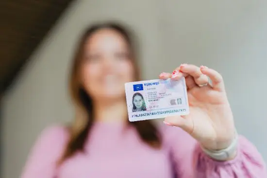 Nederlands rijbewijs is ‘a hidden masterpiece’ featured image