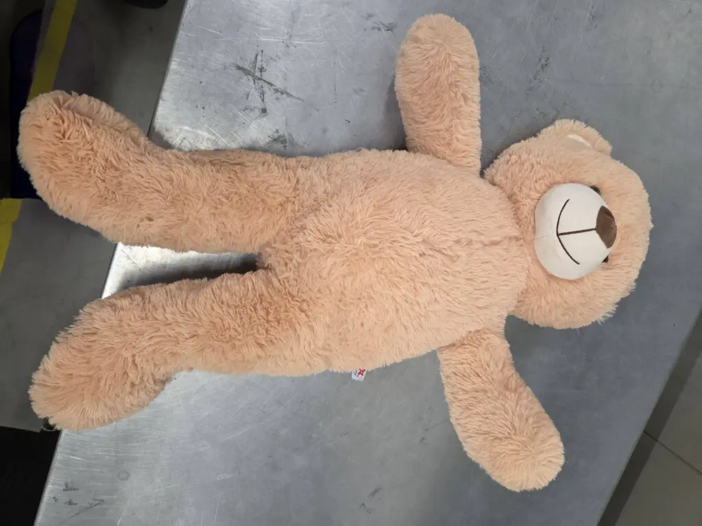 DHL vindt 50.000 euro in teddybeer featured image