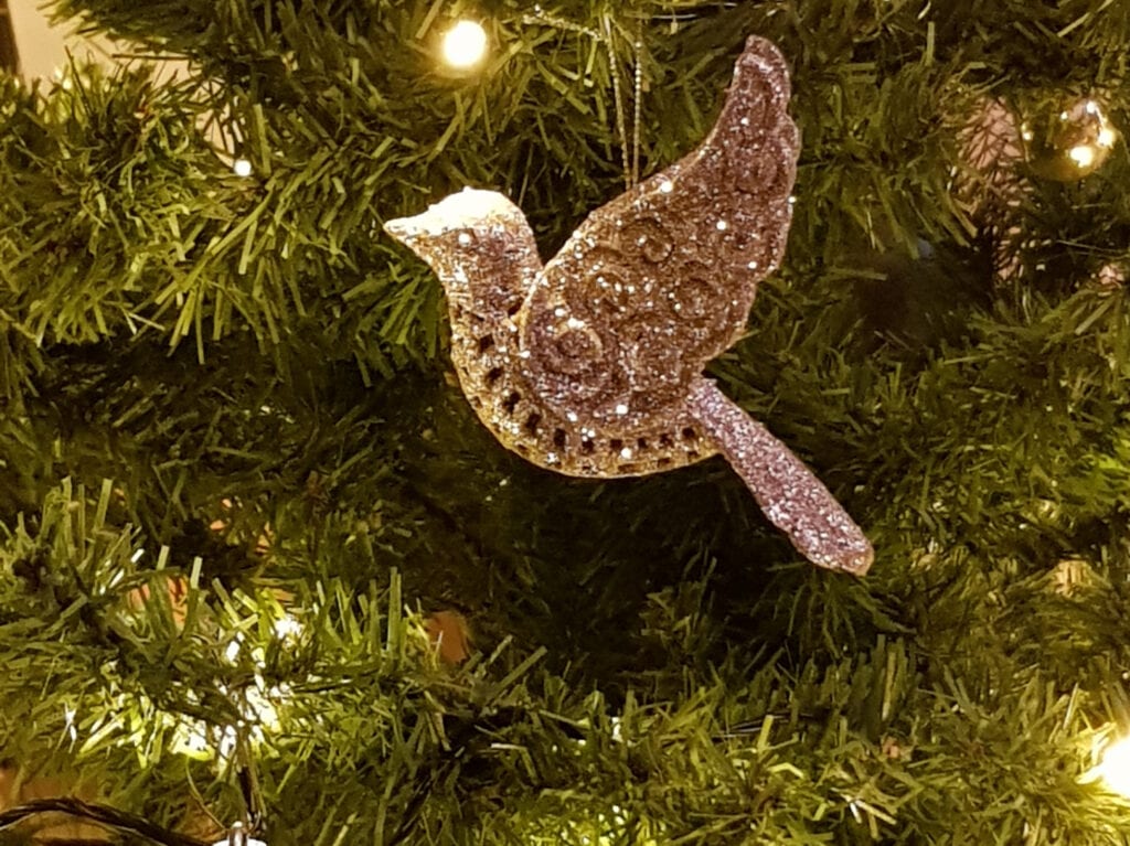 VIDEO – Fijne Kerstdagen (en tot in 2021!) featured image