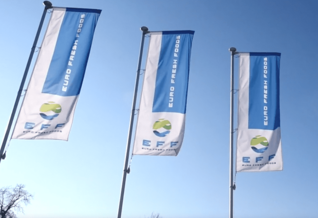 Heylen investeert in Euro Fresh Foods featured image