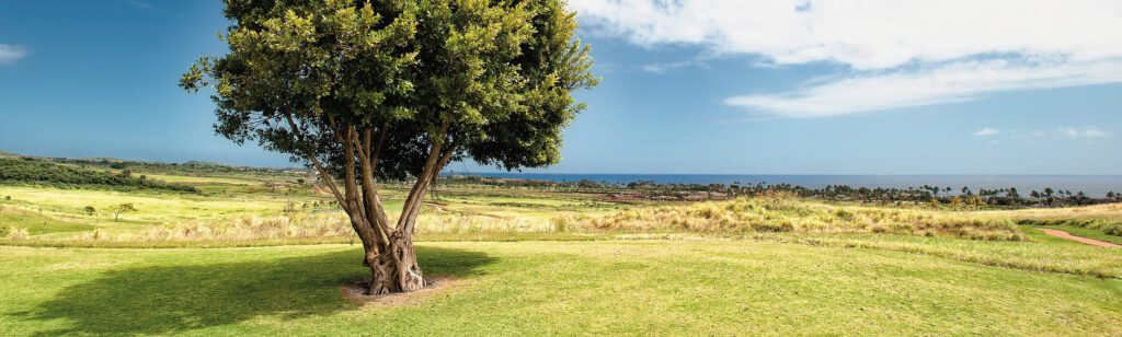 Rotra is eerste klimaatneutrale expediteur featured image